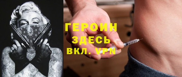 гидра Новодвинск