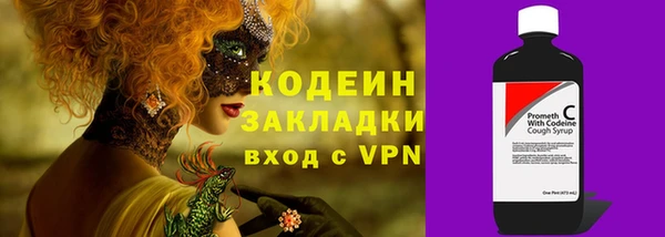 гидра Новодвинск