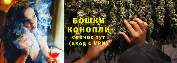 гидра Новодвинск