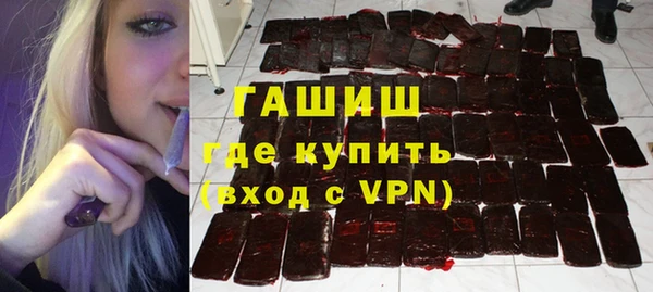 гидра Новодвинск