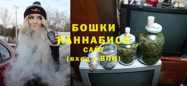 гидра Новодвинск