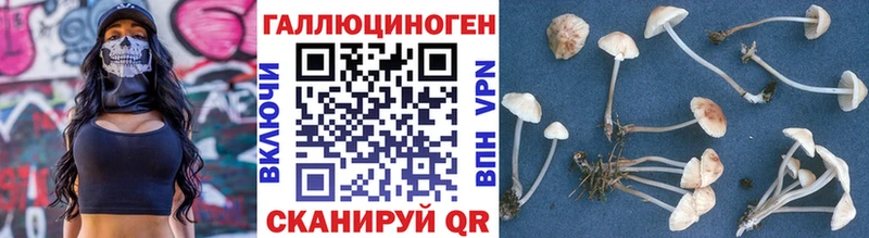 Галлюциногенные грибы MAGIC MUSHROOMS  Разумное 